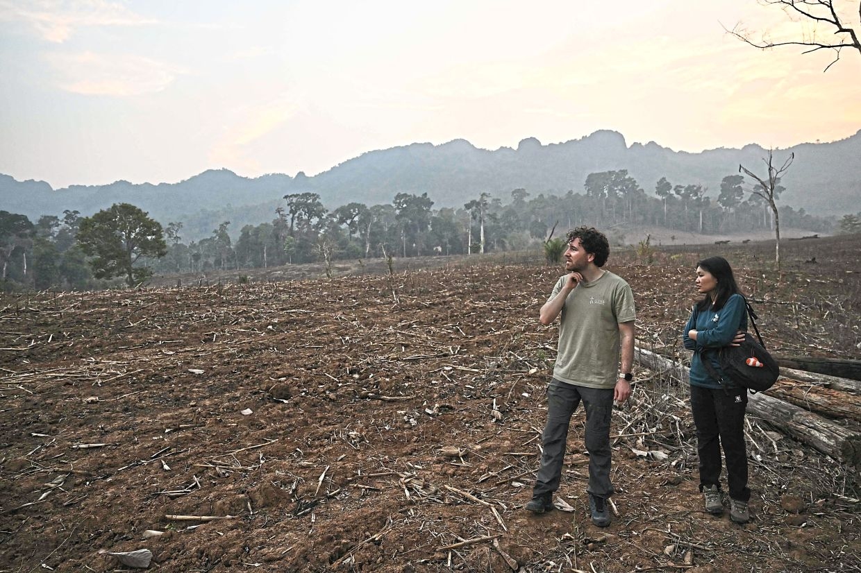 Saving seeds amid the smoke