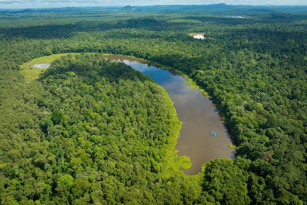 Pin Supu Forest Reserve in Sabah earns IUCN Green List award