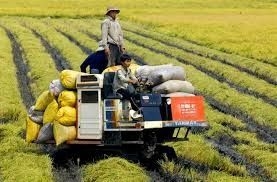 Vietnam among world's most food-self-sufficient nations: Study