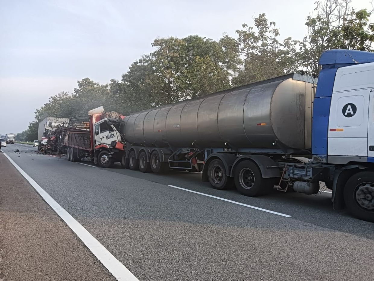 Lorry driver and attendant killed in crash on NSE