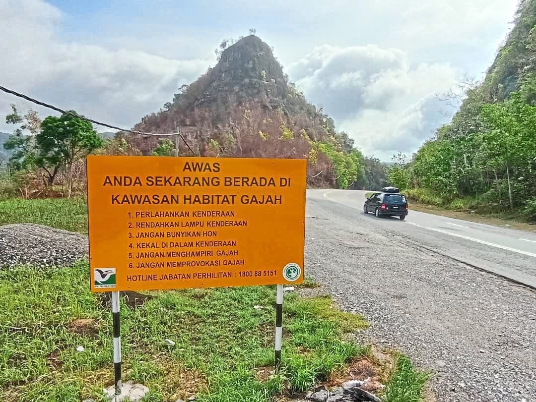RM66.2mil viaduct project to reduce human-animal conflict