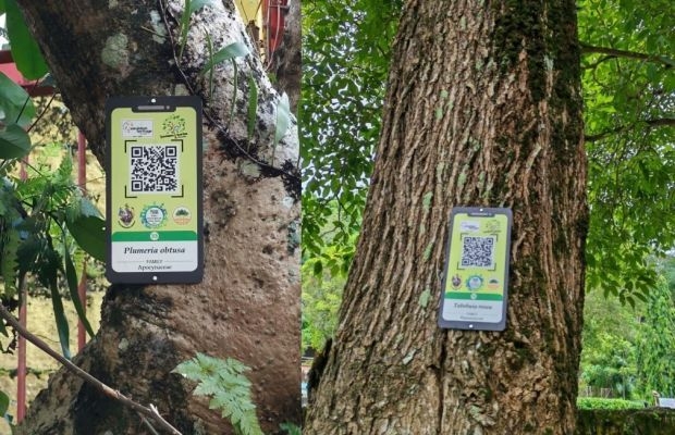 Malaysia's first Historical Tree Trail to be opened in Sandakan