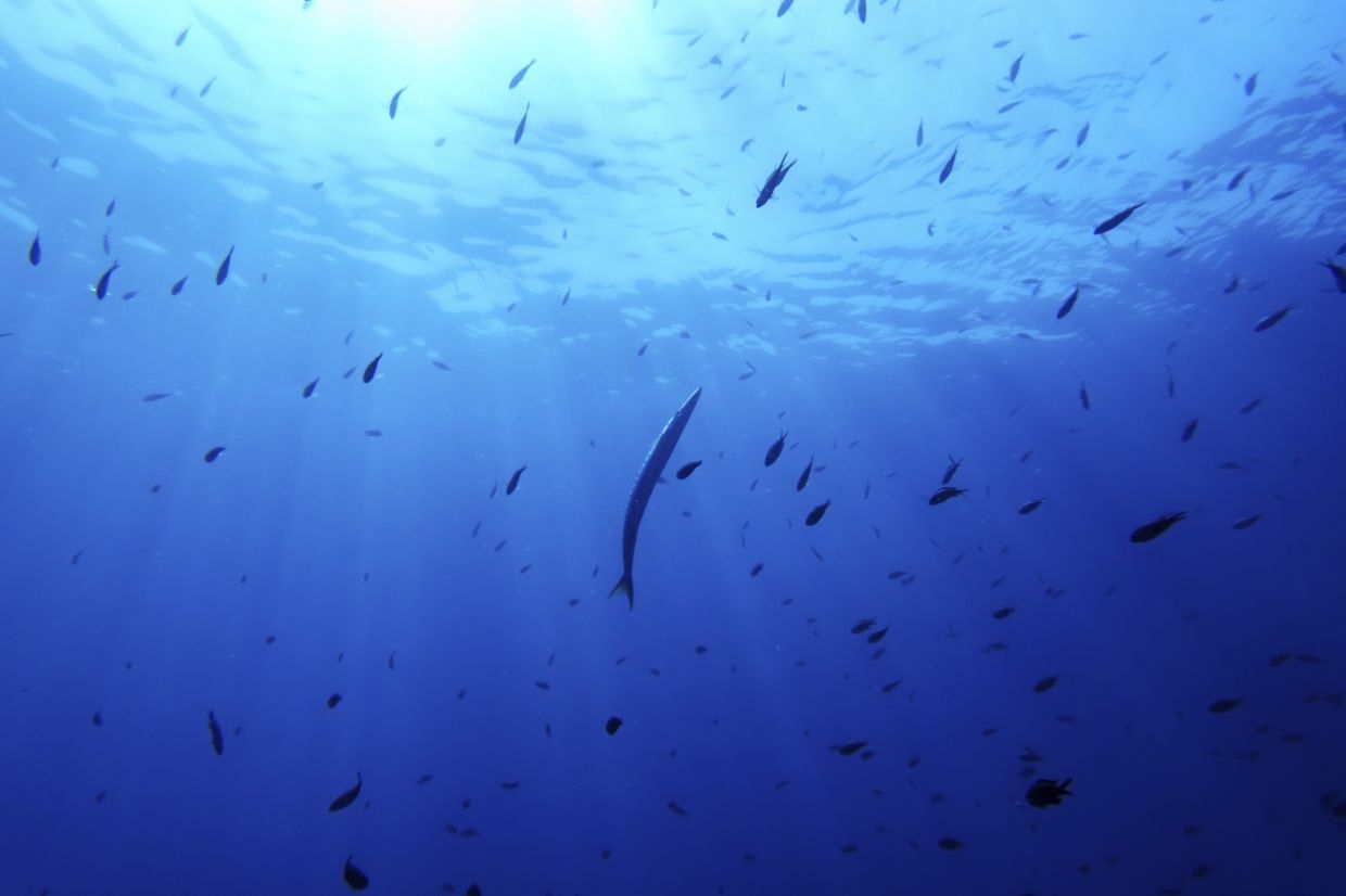 Agreement in place as nations advance ocean protection, vow to defend seabed