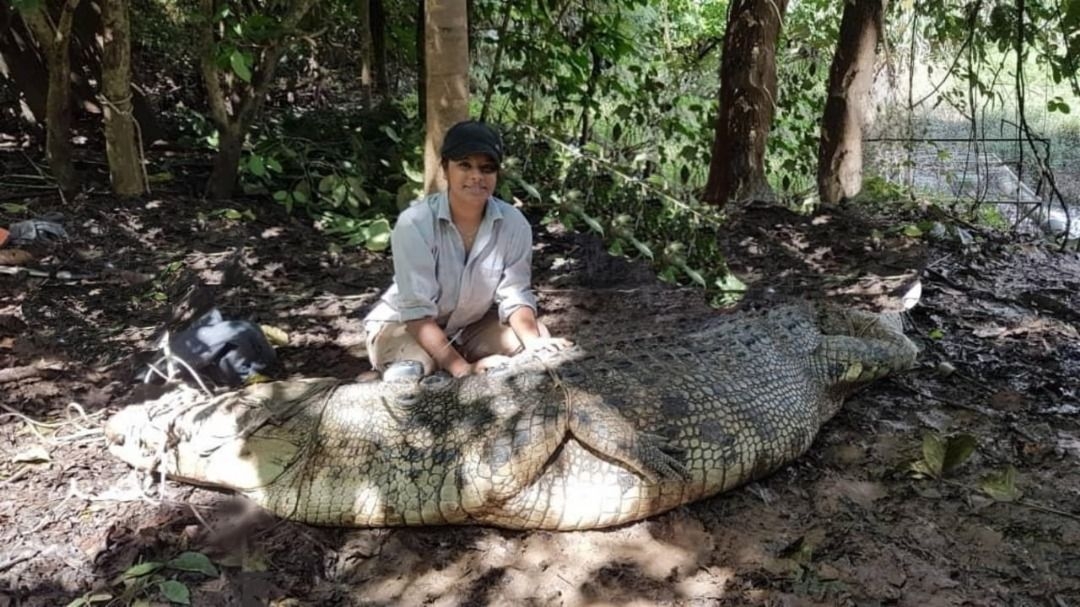 Crocodiles essential for maintaining healthy aquatic ecosystems, says conservationist