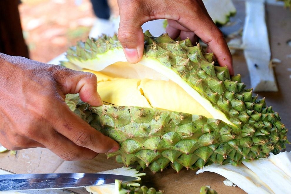 QuickCheck: Are fake 'Balik Pulau' durians being sold by unscrupulous traders?