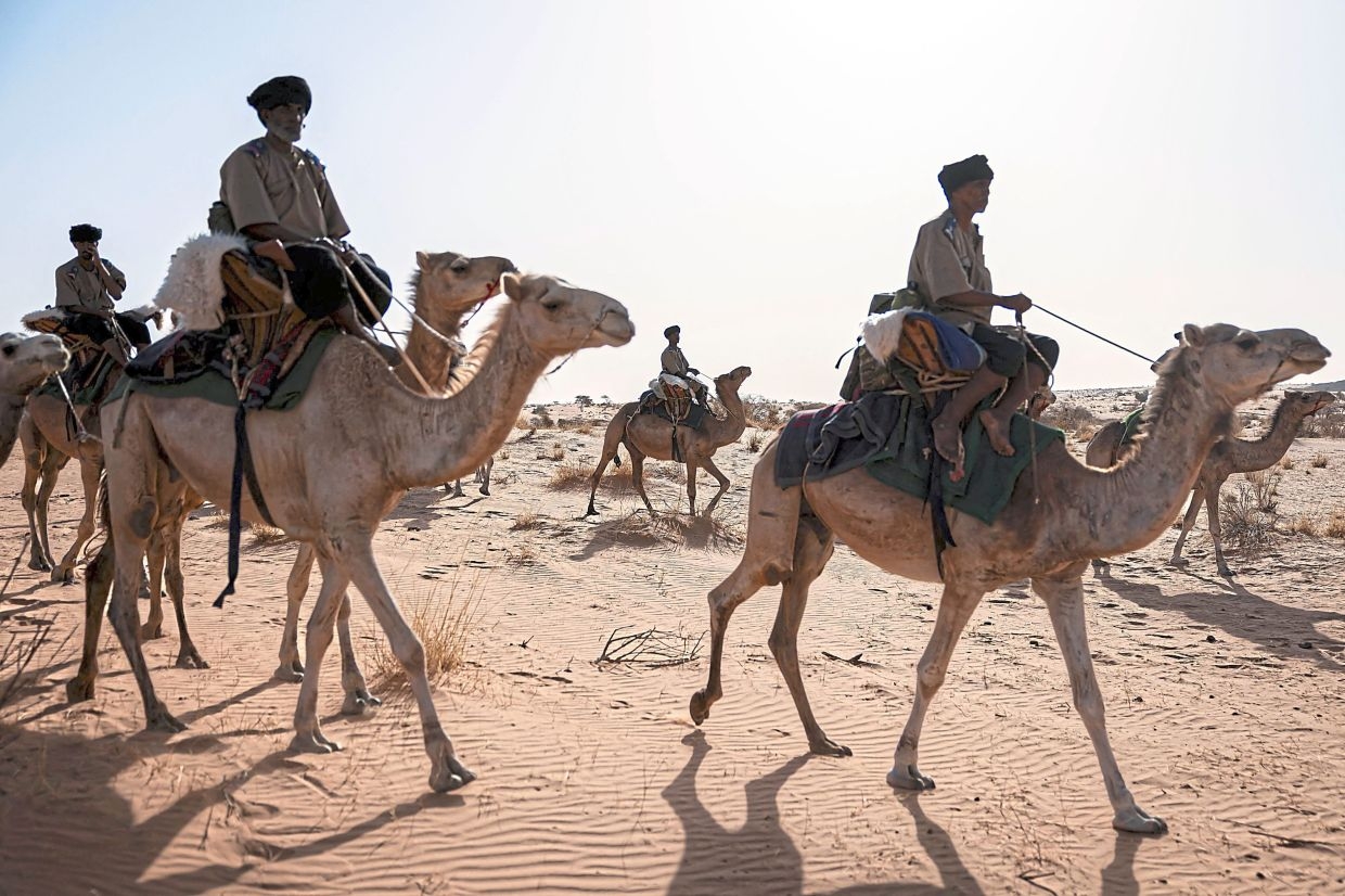 Desert cavalry holds the line