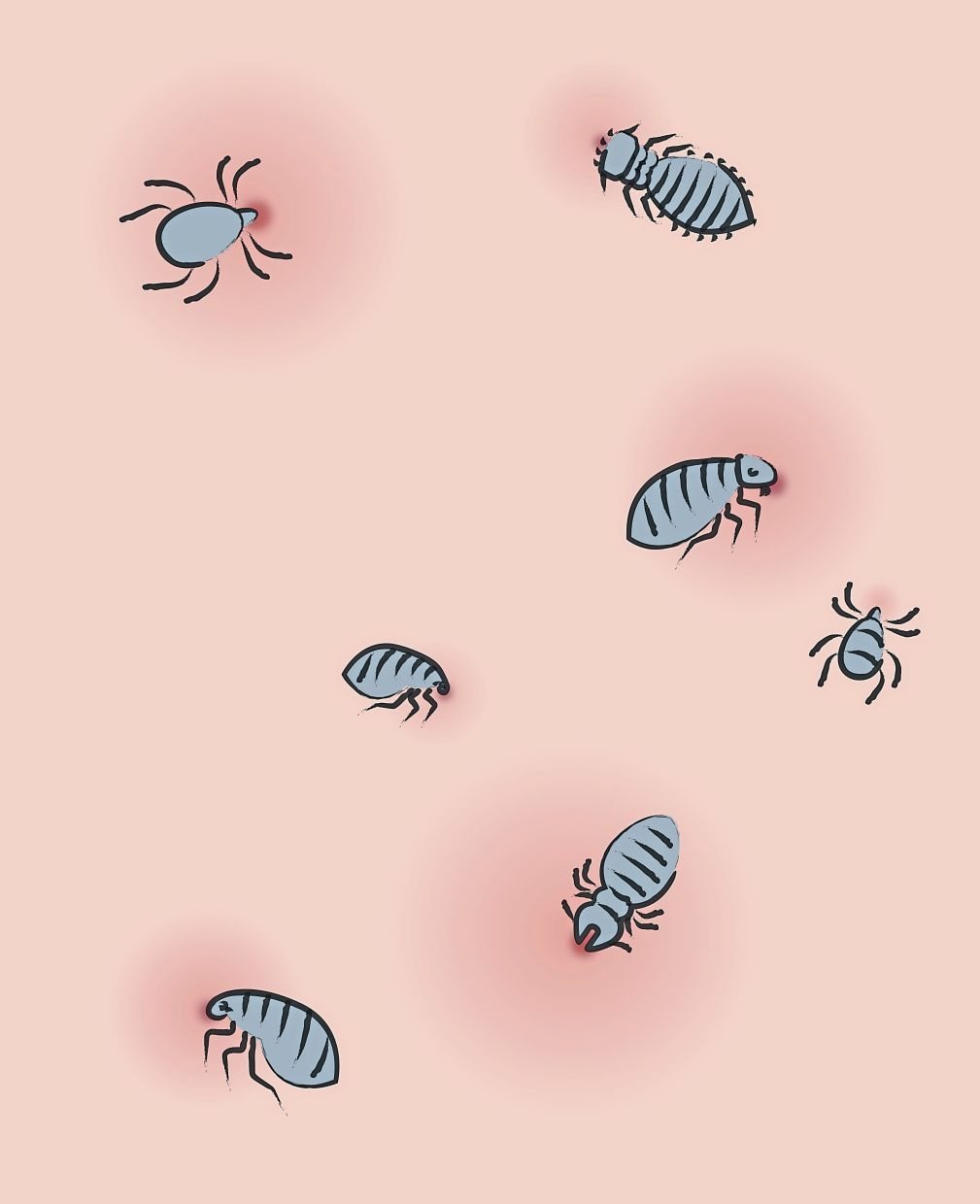 Rickettsial infections are unknown, yet surprisingly common
