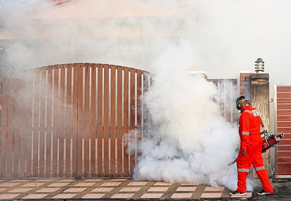 Turning to nature to fight dengue