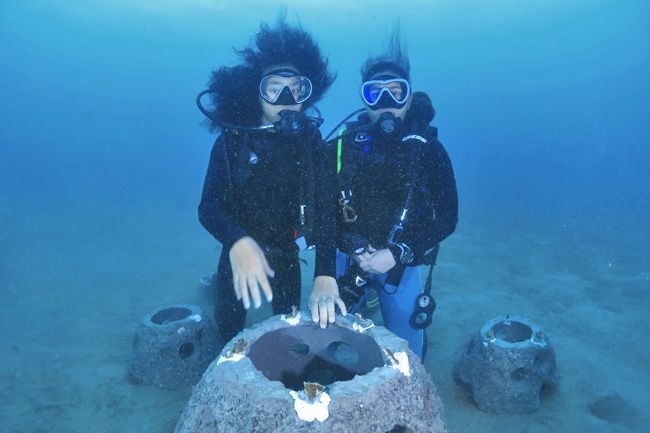 Royals take the plunge at record-breaking coral planting