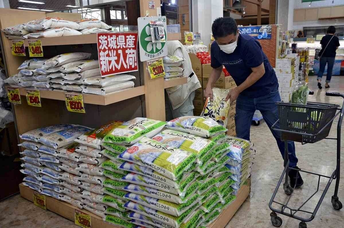 Japan rice price falls below US$27 per 5kg for the first time since March