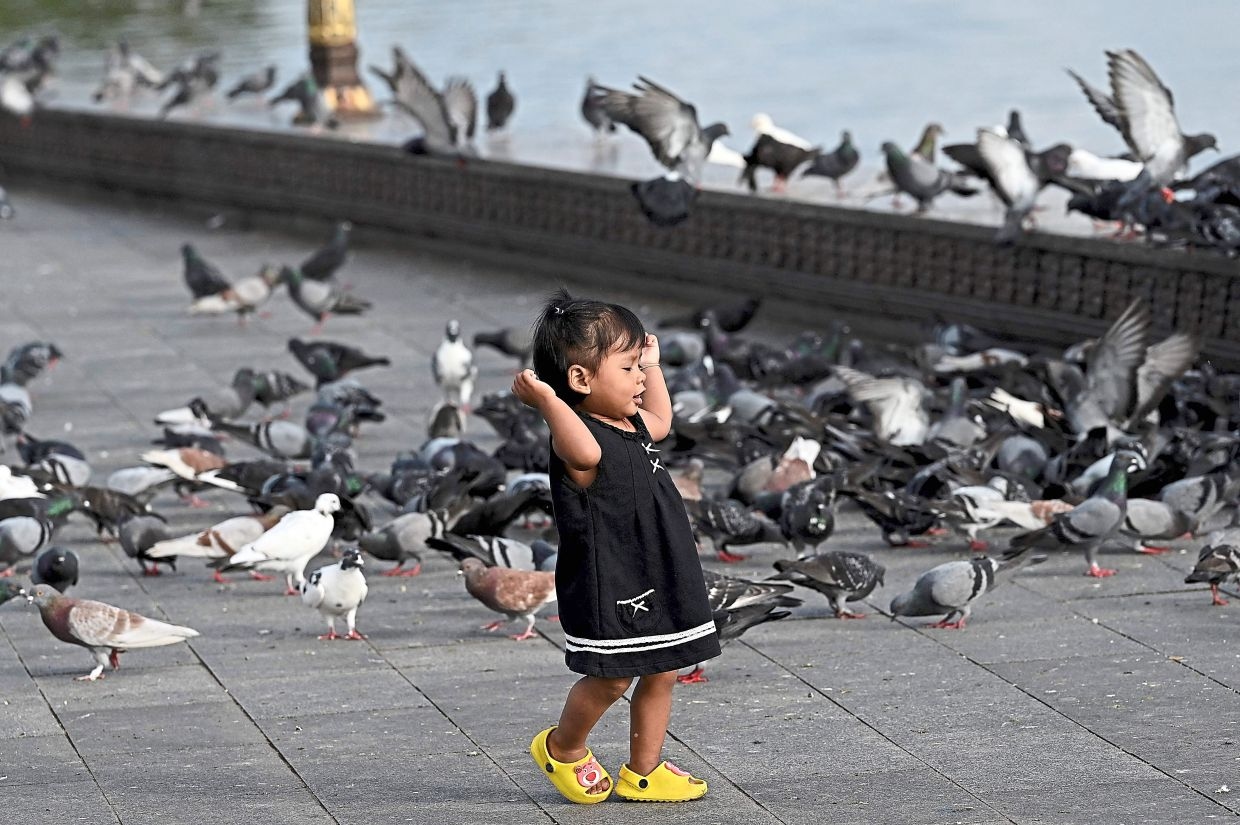 Cambodia records 7th human case of H5N1 bird flu in 2025