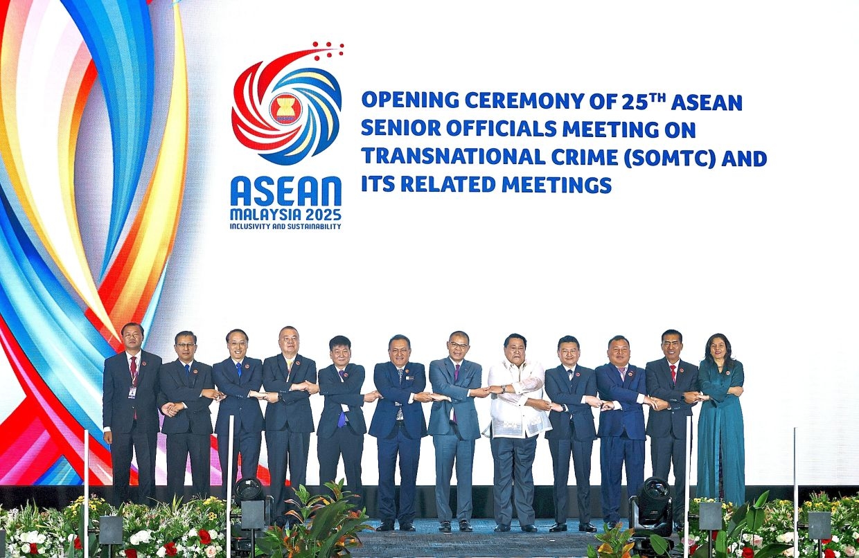 Asean urged to use AI against cybercrime