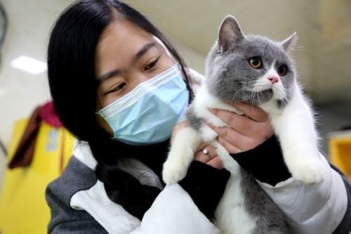 China launches first four-year ‘pet' undergraduate programme