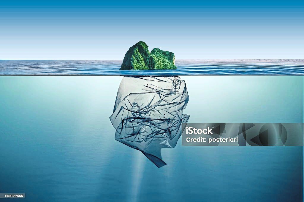 Life in plastic isn't fantastic