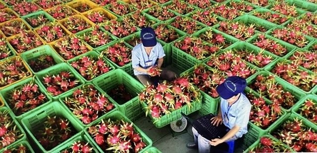 Global uncertainty weighs on Vietnam's economic outlook