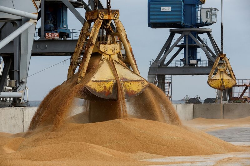 Ukraine calls for EU sanctions on Bangladeshi entities for import of 'stolen grain'