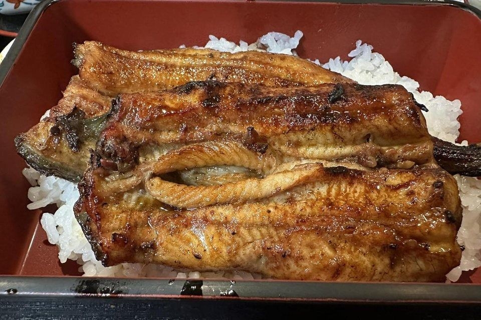 Eel-eating Japan, one its peoples favourite dish, opposes EU call for more protection