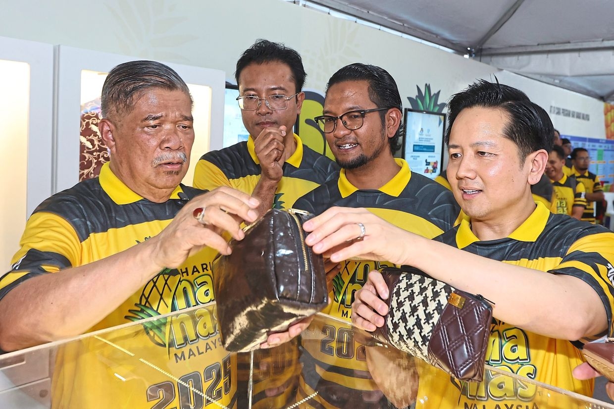 Pineapples go from field to fortune