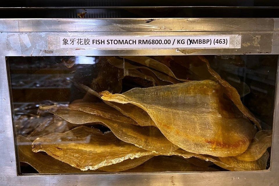 Six endangered fish species found in fish maw from Singapore and Malaysia's stores: Study