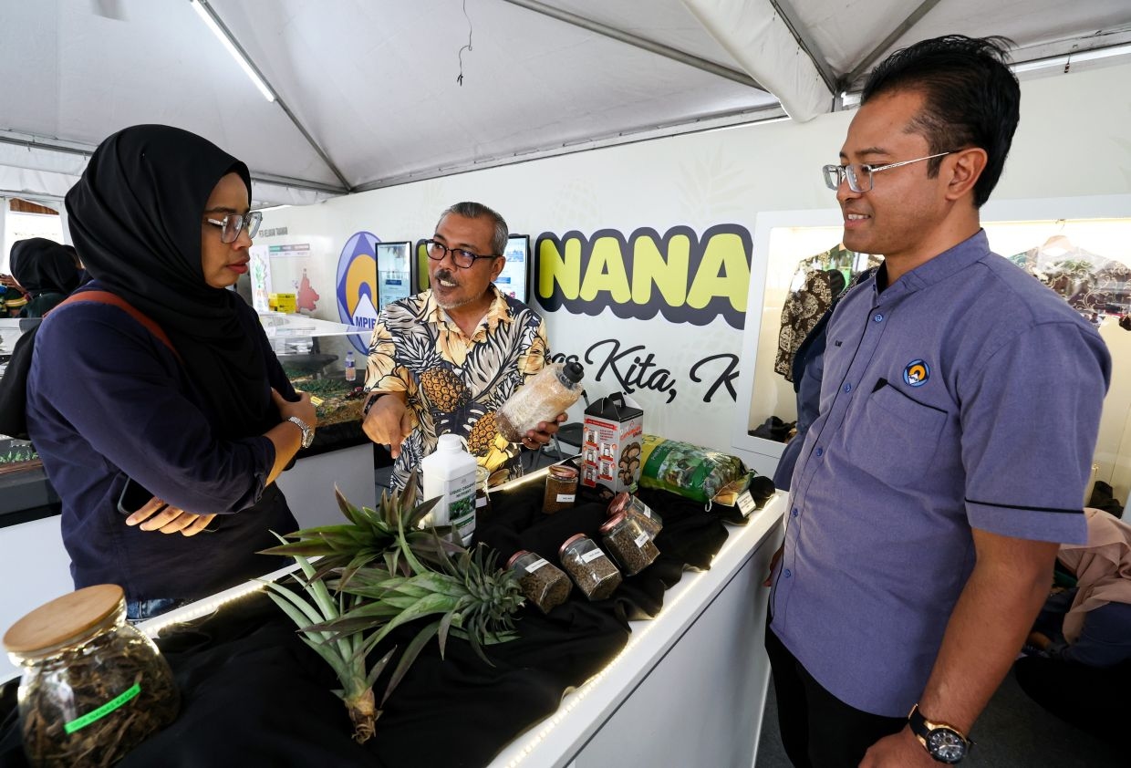 Five pineapple waste processing centres in the pipeline
