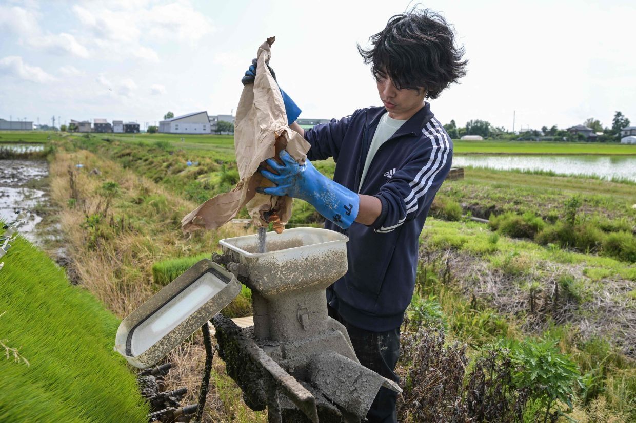 Japan says it won't sacrifice farm sector after Trump complains about rice