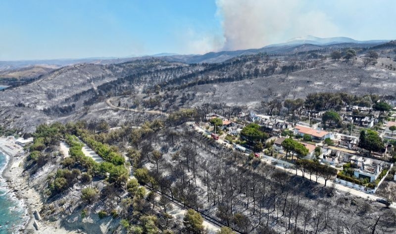 Wildfire in Turkey's Izmir province spreads to residential area, killing bedridden man, report says