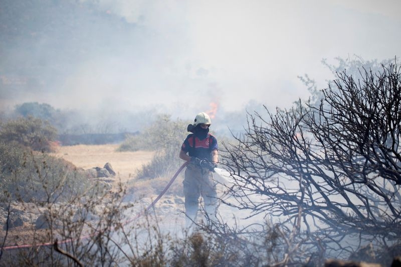 Firefighters report progress in taming Turkey wildfires