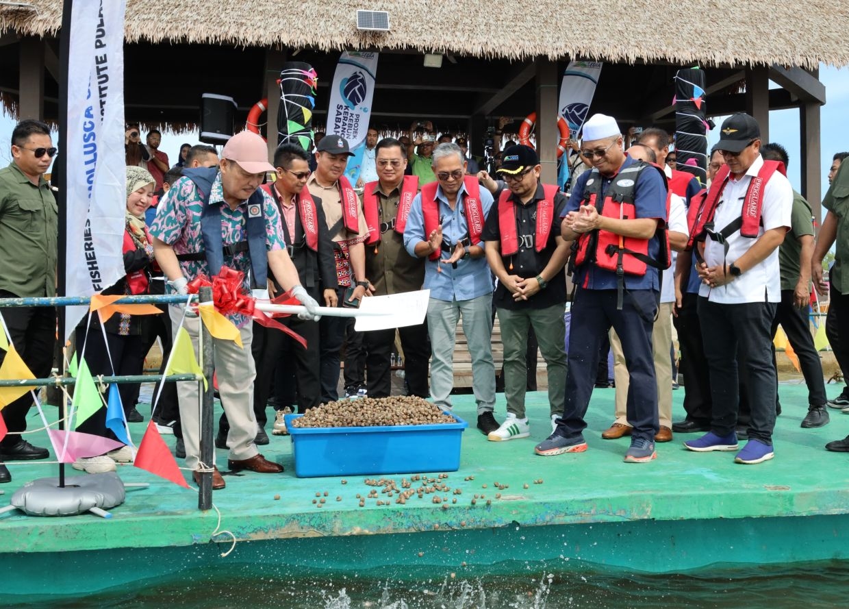 Sabah launches cockles development project to potentially generate RM34mil in annual revenue