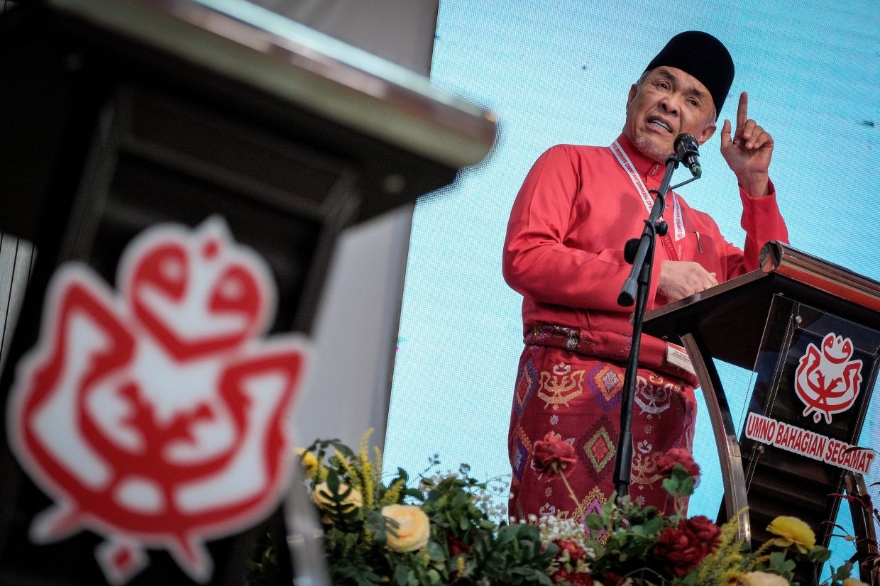 Zahid reminds Umno members to reject 'crabs in a bucket' mentality