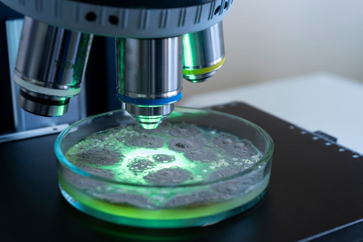 Nominations now open for National Young Scientist Award 2025