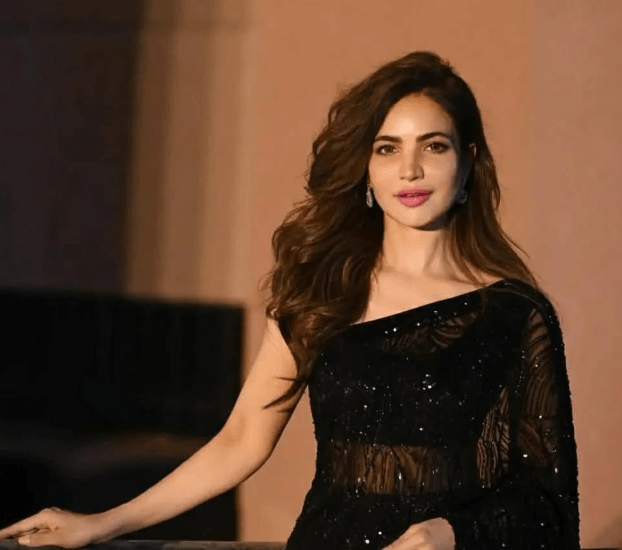 Pakistani actress Humaira Asghar Ali found dead in apartment