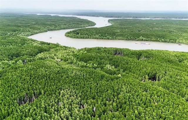 Vietnam unlocks carbon credit market with legal reforms