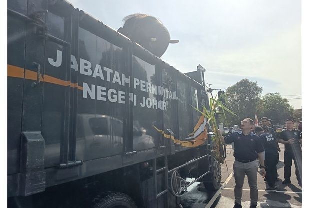 Human-elephant conflicts cause RM1.1mil losses in Johor