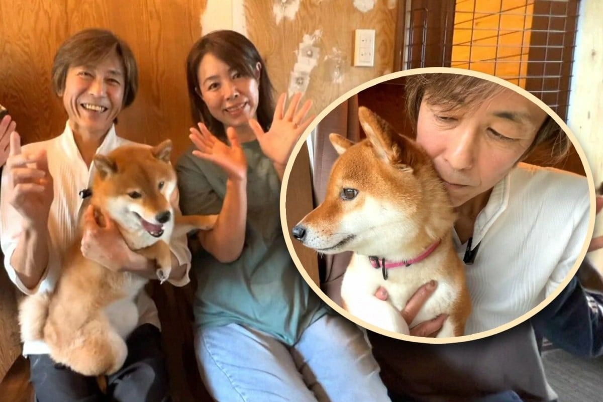 Japan man sells Ferrari to fund shelter for ‘taxing' dogs, repay pet that saved his life
