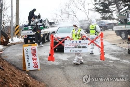 South Korea reports African swine fever case after four-month hiatus