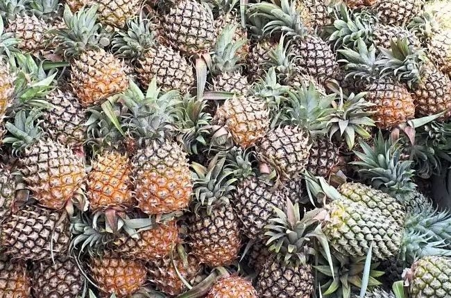 High demand for Malaysian pineapples in New Zealand revealed, says Ahmad Zahid
