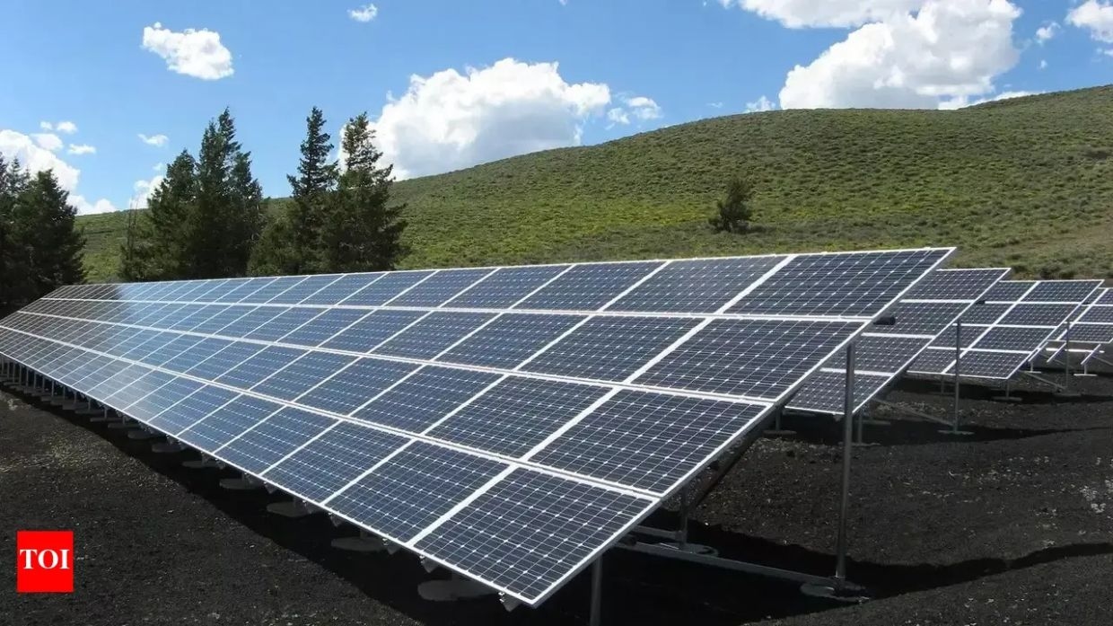 US solar makers seek tariffs against India, Indonesia and Laos