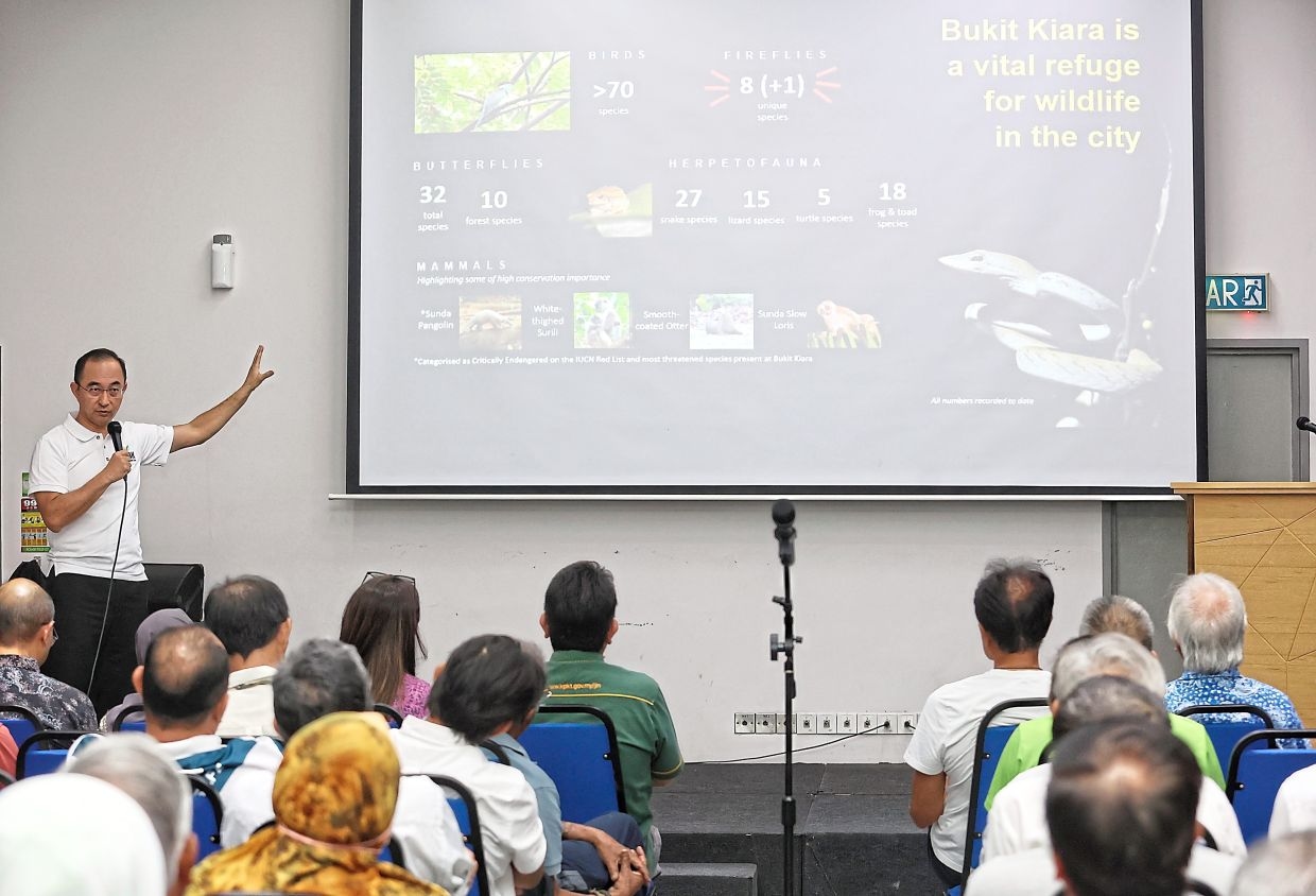 ‘Trees felled in Bukit Kiara park will be replaced'