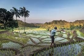 Indonesia's Prabowo rolls out first of 80,000 ‘Red-White' cooperatives to boost economic growth