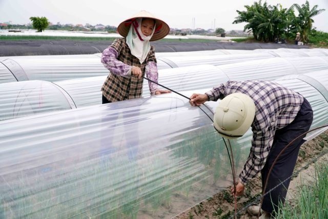 Storm Wipha nears northern Vietnam with heavy rain, strong winds and flood risk