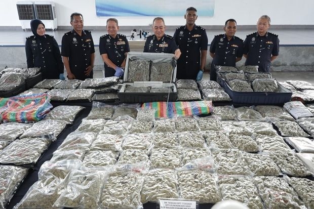 Penang cops nab four with RM3.72mil worth of ganja