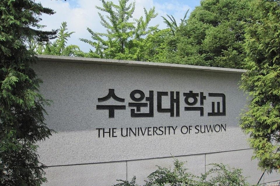 Furore in South Korea after college art competition asks entrants to ‘depict pilot's face before crash'