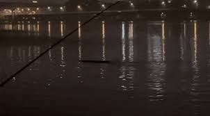 Video of unidentified creature in Seoul's Han River goes viral