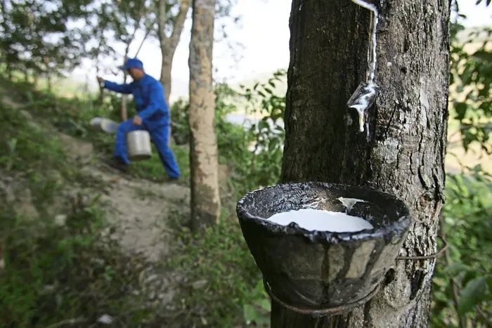 Rubber rebound? Still waiting for the bounce