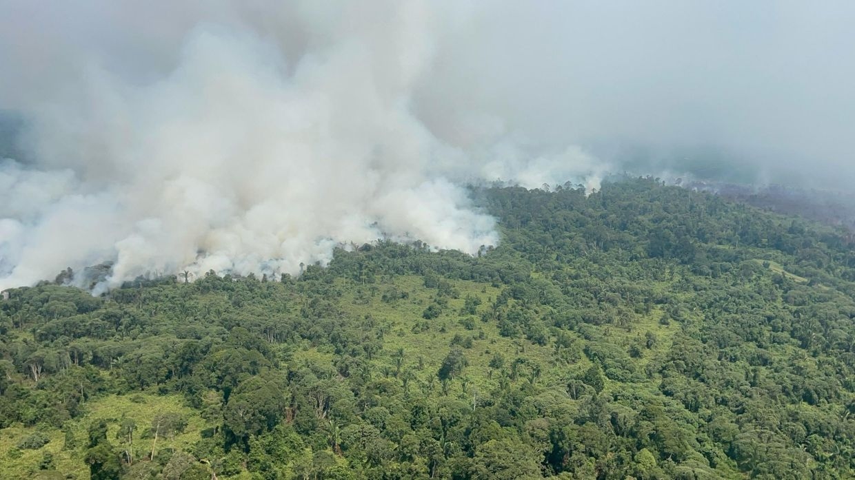 Water bombing slows 105ha bushfire in Mukah