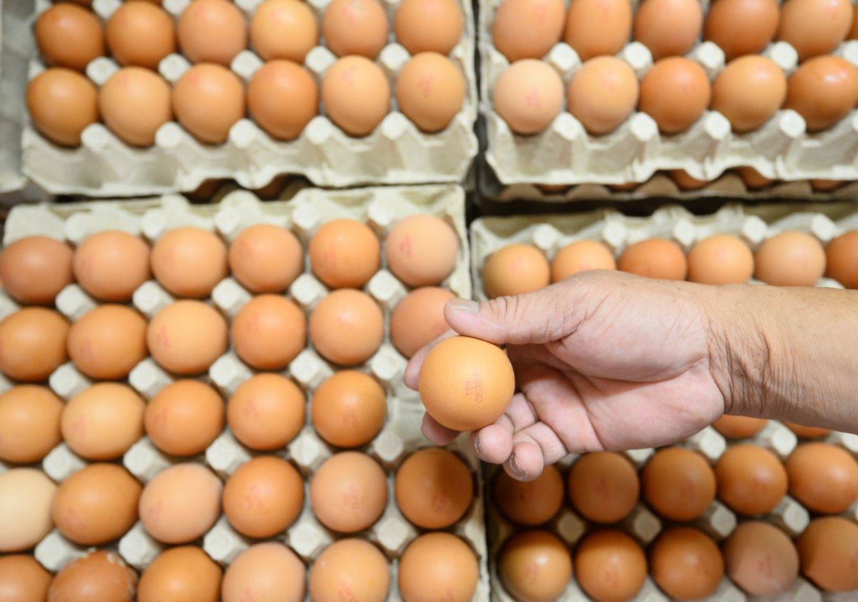Johor steps up monitoring, urges public to report sharp hikes in egg prices
