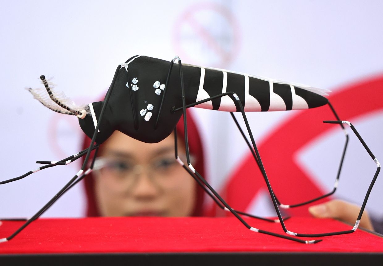 Chikungunya might be about to break out worldwide