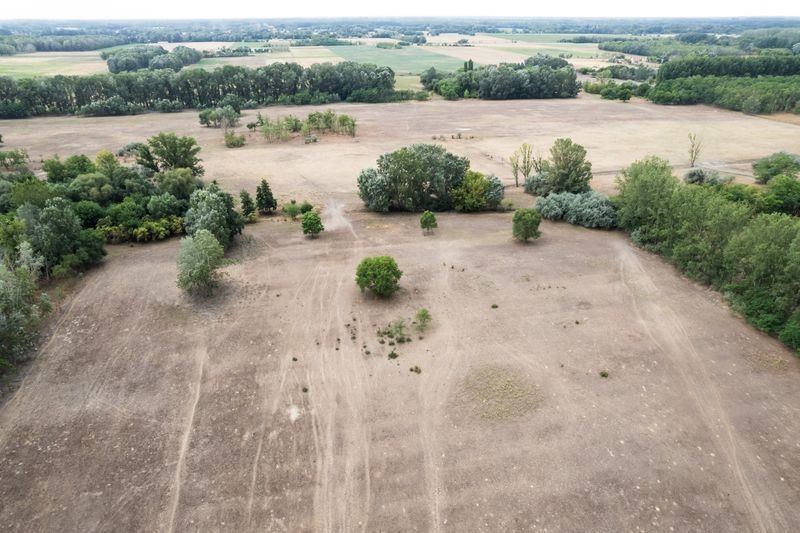 Farmers consider abandoning drought-hit region in central Hungary