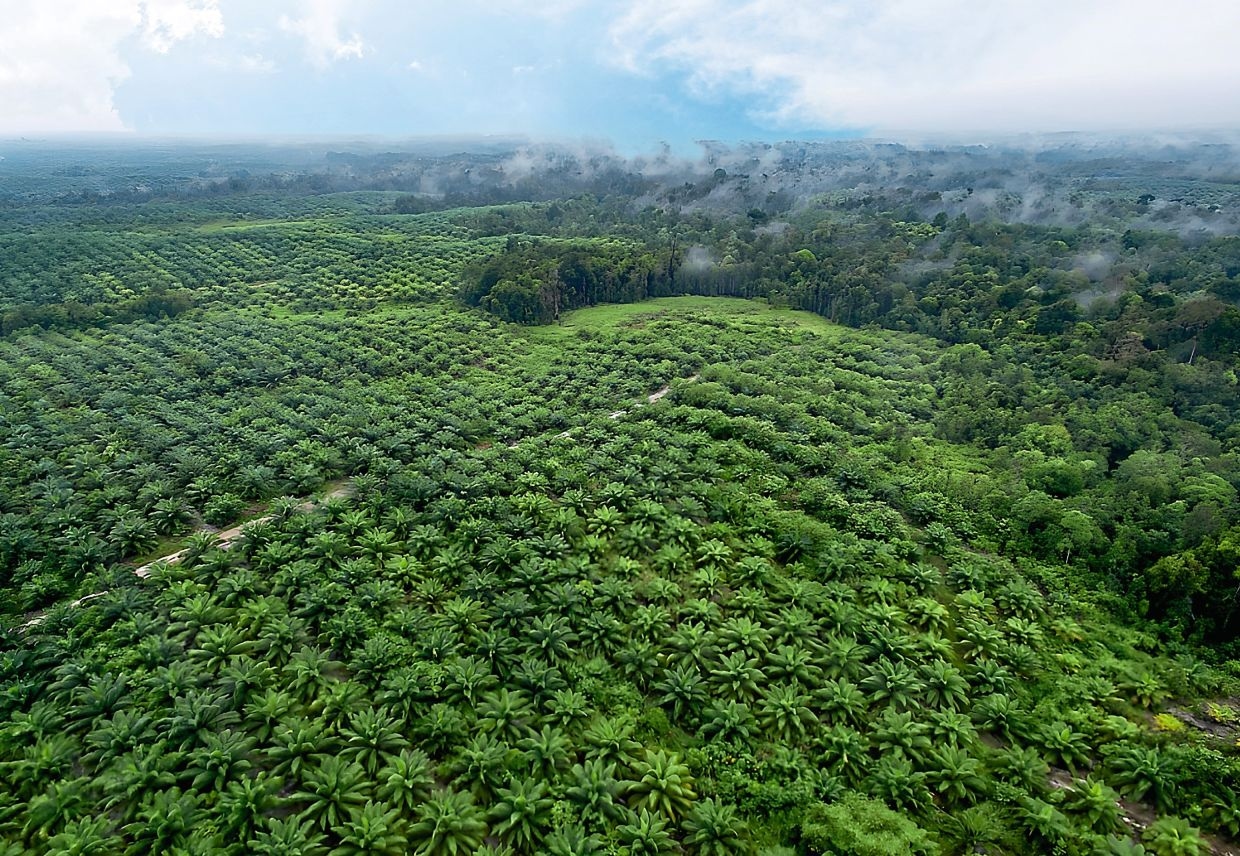 Jitters over Jakarta's land seizure