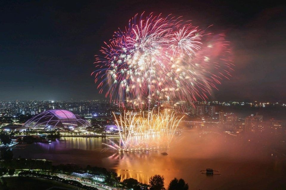 Singapore National Day fireworks: How to manage pets' anxiety over sudden, loud noises